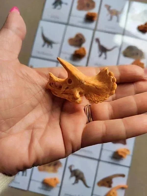 Kit benamingen van dinosaurussen met schedels Montessori – photo 6